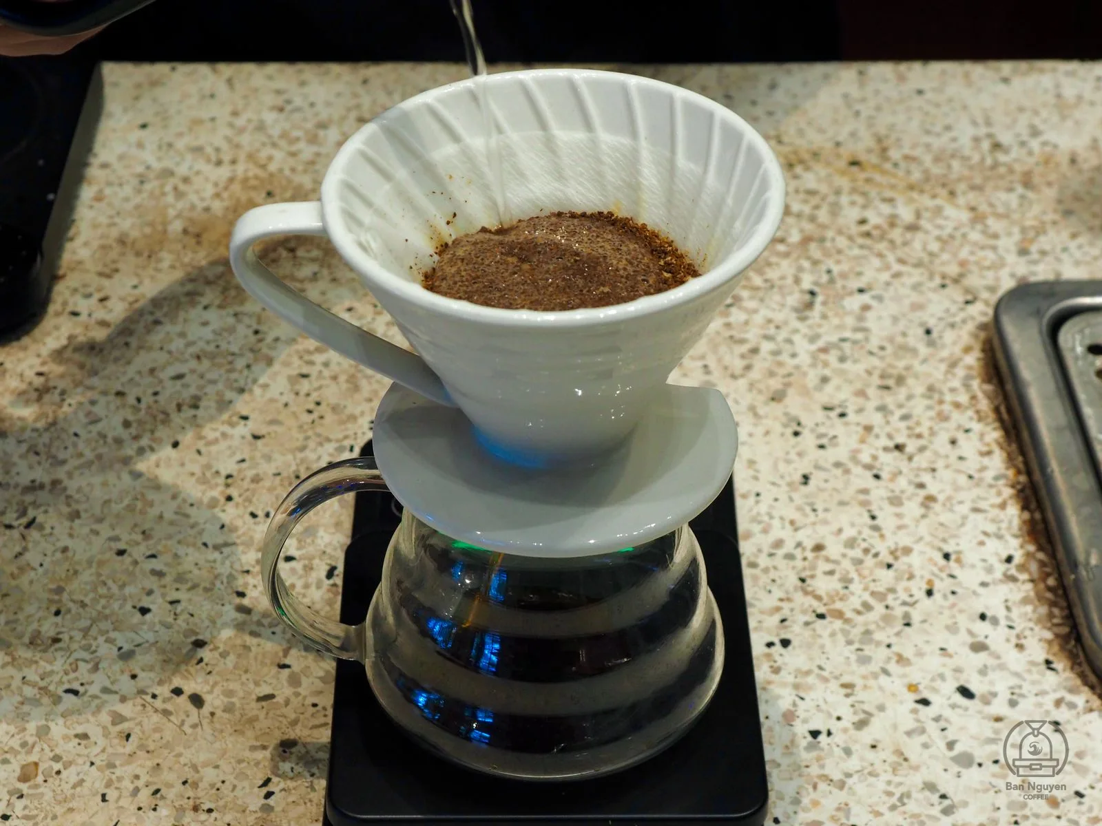 15 g cà phê xay thô trong phễu V60. Ảnh: Adiuvat