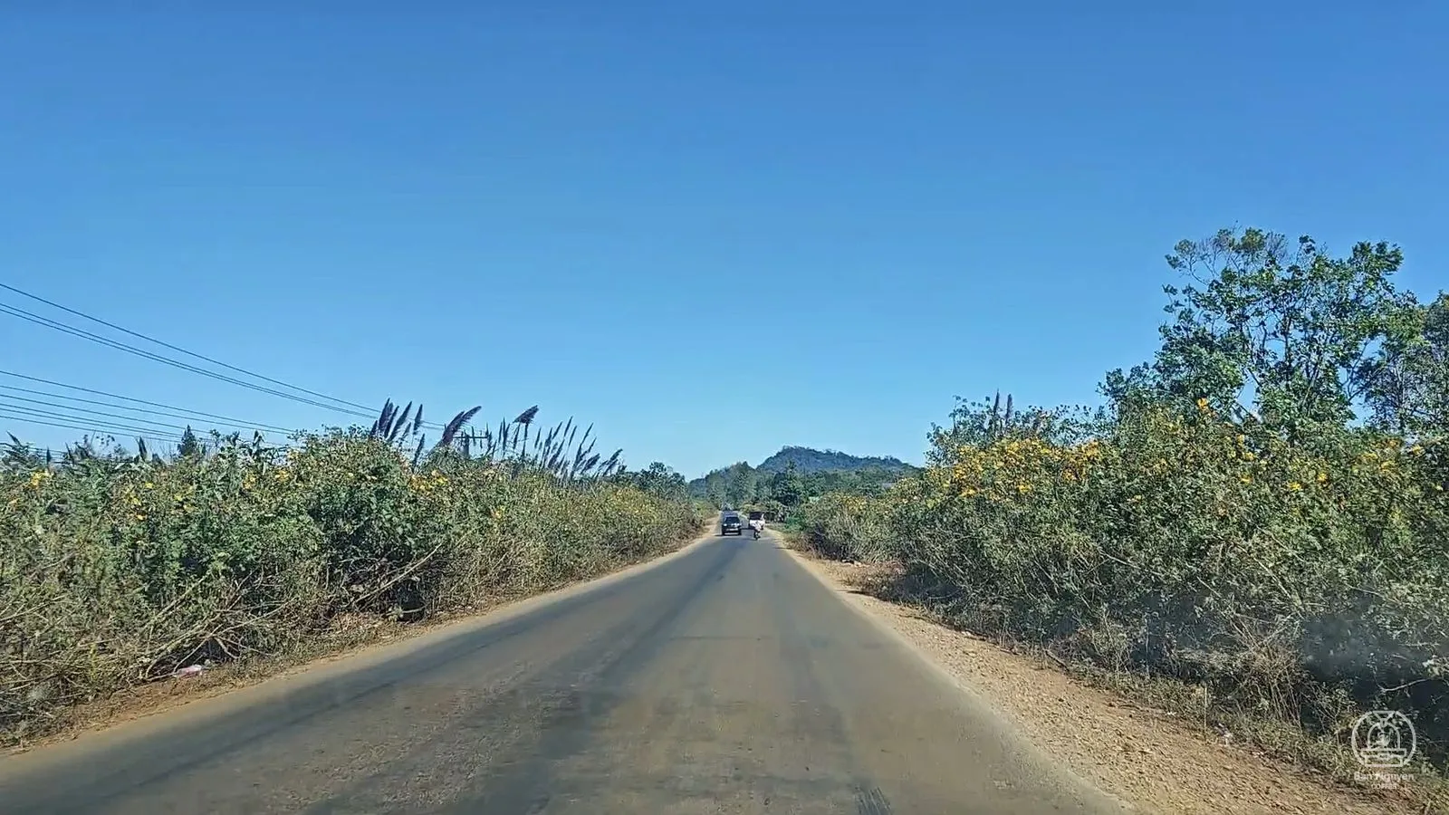 Đường lên cao nguyên Bolaven mùa hoa dã quỳ.