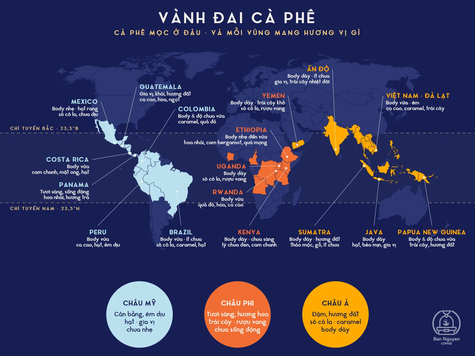 Vành đai cà phê và hương vị đặc trưng của từng vùng trồng. Đồ hoạ: Adiuvat